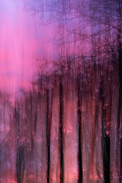 The silent witnesses of light (10 of 10) by Linda Hutten