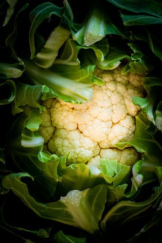 Blumenkohl