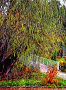 The Willow Bridge by Dorothy Berry-Lound thumbnail