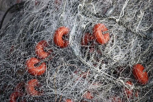 [mallorquin] ... gaan vissen! - I