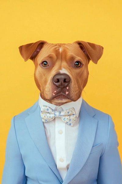 Amerikaanse Staffordshire Terrier van Poster Art Shop