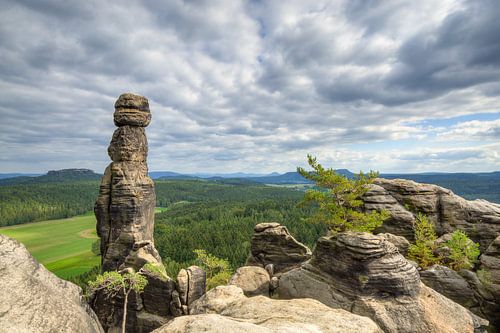 Barbarine Saxon Switzerland
