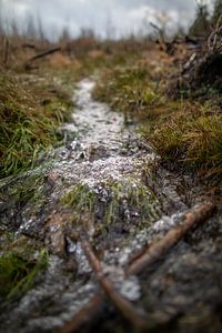 Bachlauf nach der Schneeschmelze von t.ART