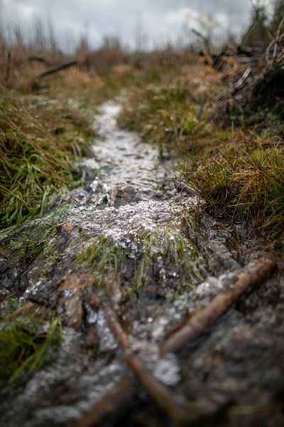 Stream after the snow has melted by t.ART