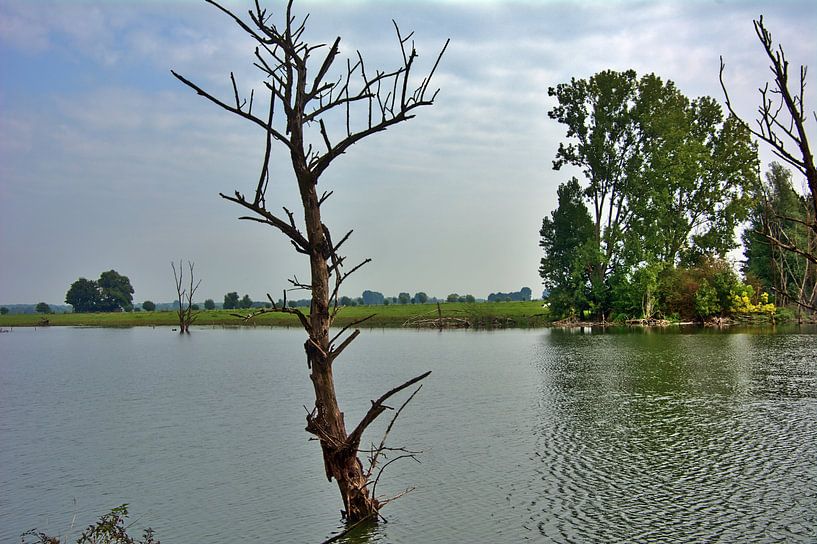 Ochtend op Bislicher eiland van Edgar Schermaul