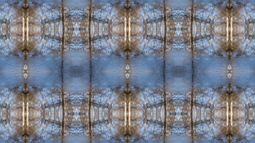 Weerspiegelde bomen in een bevroren meer 2 van Adriana Müller