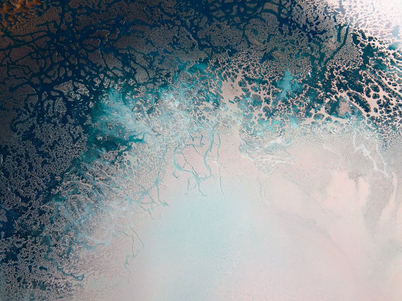 Flourish by Petra Meikle de Vlas