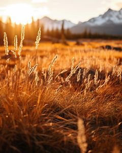 Herbst im Yukon
