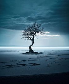 Aesthetic minimalism