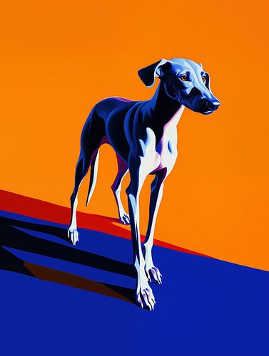 Blauwe windhond met oranje