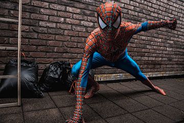 Spiderman in een steeg 2 van Dustin Musch