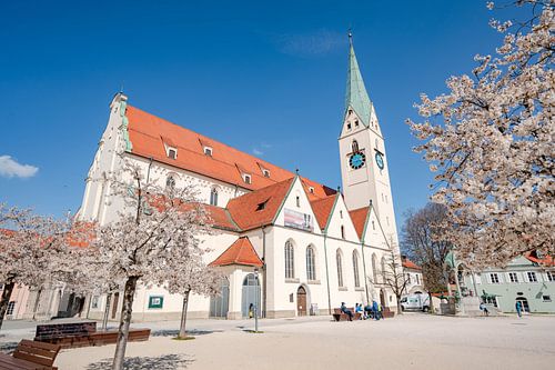 Amandelbloesem in de lente op het St. Mang plein en kerk