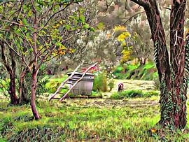 Ruhe finden in Umbrien von Dorothy Berry-Lound