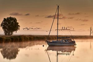 Boot Szenerie mit Schilf am Peenestrom mit Nebelbänken, Vogelschwarm und dem Heizhaus Peenemünde im Hintergrund