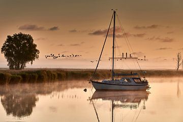 Bootlandschap met riet op de Peenestrom met mistbanken, een zwerm vogels en het ketelhuis van Peenemünde op de achtergrond van Stefan Dinse