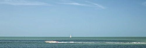 Florida VII