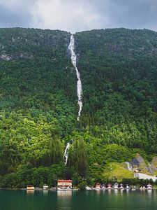 Les fjords norvégiens à Vik