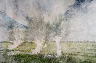 de wind in de wilgen van Peter Baak thumbnail