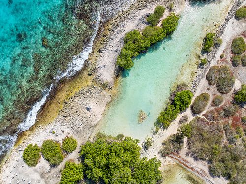 Lagune met mangrove bij Jan Thiel - Drone opname