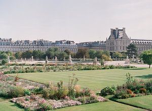 Analoges Foto von Jardin des Tuileries in Paris