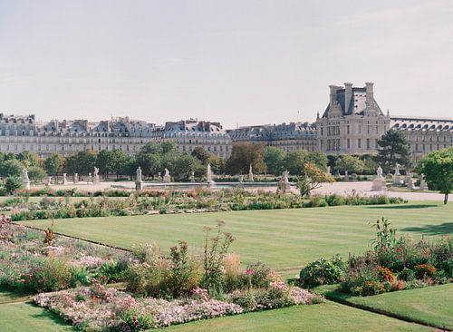 Analog photo of Jardin des Tuileries in Paris.