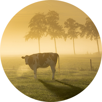 Hollands boerenlandschap tijdens zonsopgang van Friso Schinkel