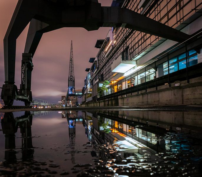 Cranes in the Port of Hamburg by Nils Steiner