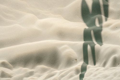 Natuurijke Graffiti 2. Patronen