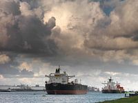 Tankers in de Rotterdamse Haven