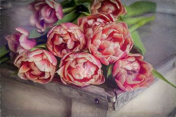 Tulipes sur Diane Cruysberghs