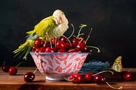 Stilleben 'Rote Kirschen mit Wellensittich' von Willy Sengers Miniaturansicht