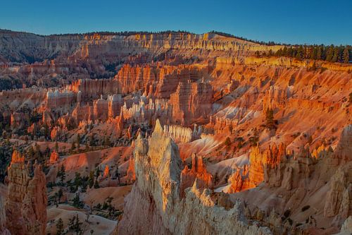 Sonnenaufgang im Bryce Canyon National Park, Utah USA