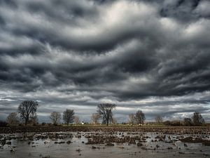 There's a storm brewing von Lex Schulte