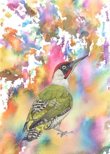 Green woodpecker in a colourful environment
