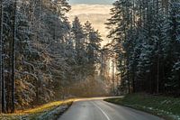Winter road