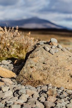 Islande sur Eric van Nieuwland