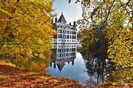 Kasteel Renswoude in de herfst van Egbert van Ede thumbnail
