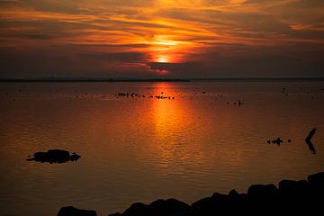 Coucher de soleil dans l'IJsselmeer sur Made by Voorn