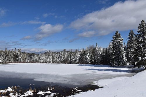 Een sneeuw op het meer in de lente