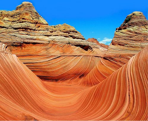 The Wave in Paria Canyon