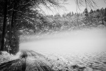 Chemin forestier perdu dans le brouillard en noir et blanc sur Nicc Koch