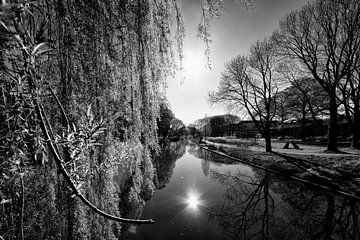 De Kromme Rijn in Utrecht bij tegenlicht vanaf de Waterloobrug van André Blom Fotografie Utrecht
