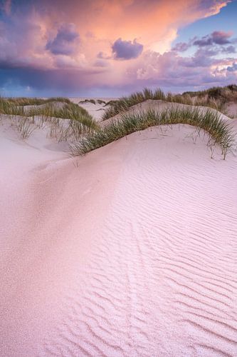 Duinen op Texel