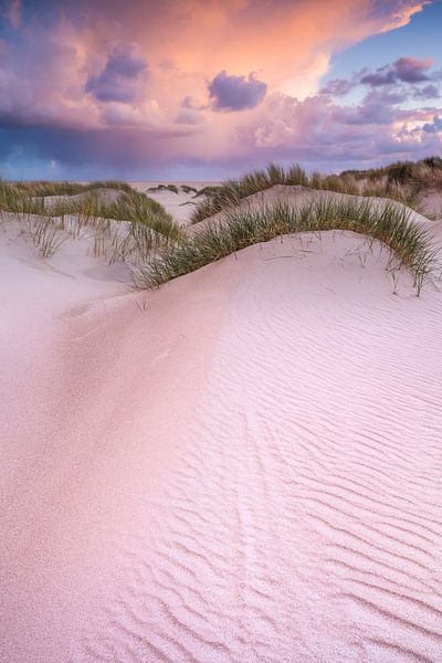 Dunes by Bob Luijks