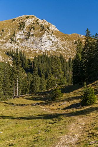 Wandelen in de Ammergauer Alpen bij prachtige blauwe lucht in de nazomer