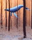 Winterwhale von Terra- Creative Miniaturansicht