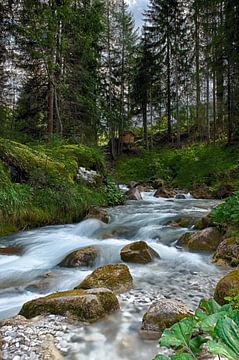 Waterfall in the mountains by Wim Slootweg