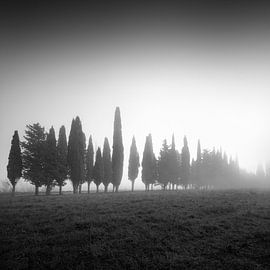 We are not all the same by Stefano Orazzini