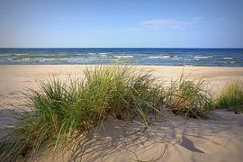 Sommerdünen von Ostsee Bilder