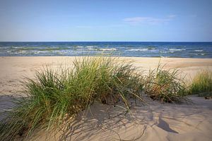 Zomerduinen